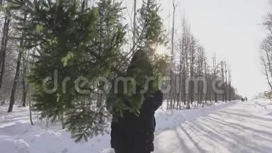 在平安夜和新年之前，一个人扛着一棵郁郁葱葱的树，来到他的家。 在雪地里行走的人